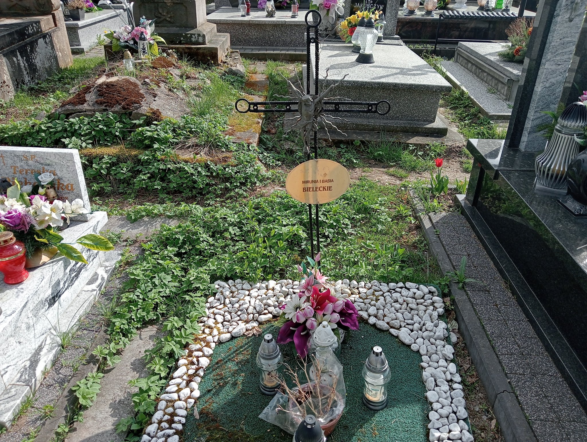 Barbara Bielecka Chęciny - Grobonet - Wyszukiwarka osób pochowanych