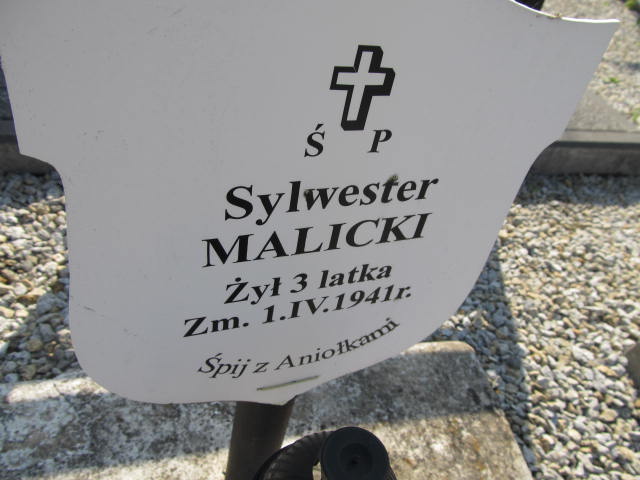 Sylwester Malicki Chęciny - Grobonet - Wyszukiwarka osób pochowanych