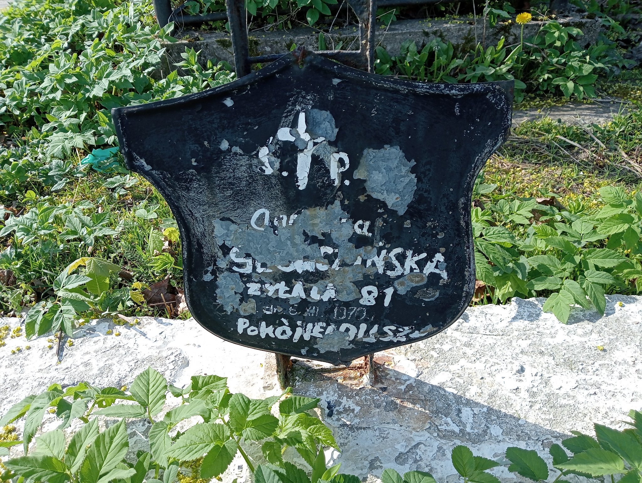 Zdjęcie grobu