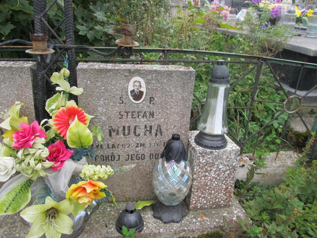 Stefan Mucha  Chęciny - Grobonet - Wyszukiwarka osób pochowanych