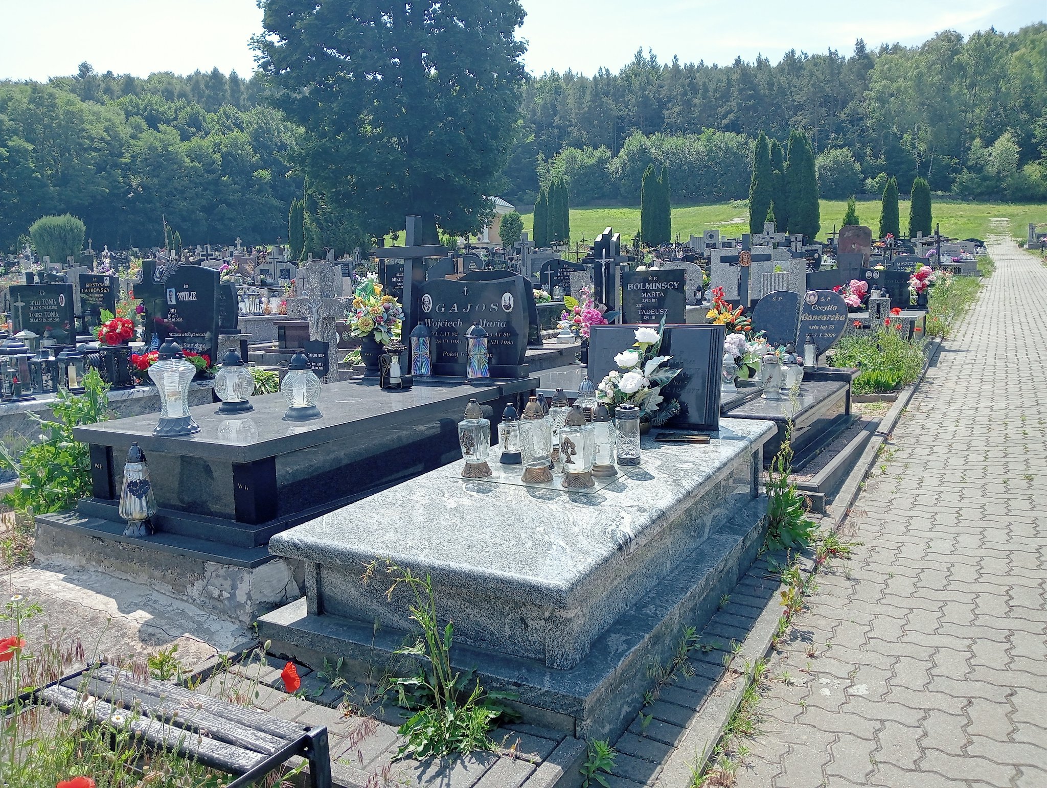 Grób Henryk Trela